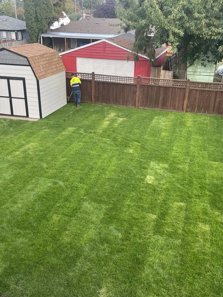 Trusted yard cleanup service in Tacoma, WA by Lara’s Lawn Pros