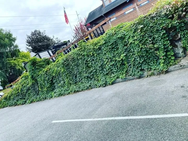 Professional yard maintenance for homes across Tacoma, WA - Lara’s Lawn Pros