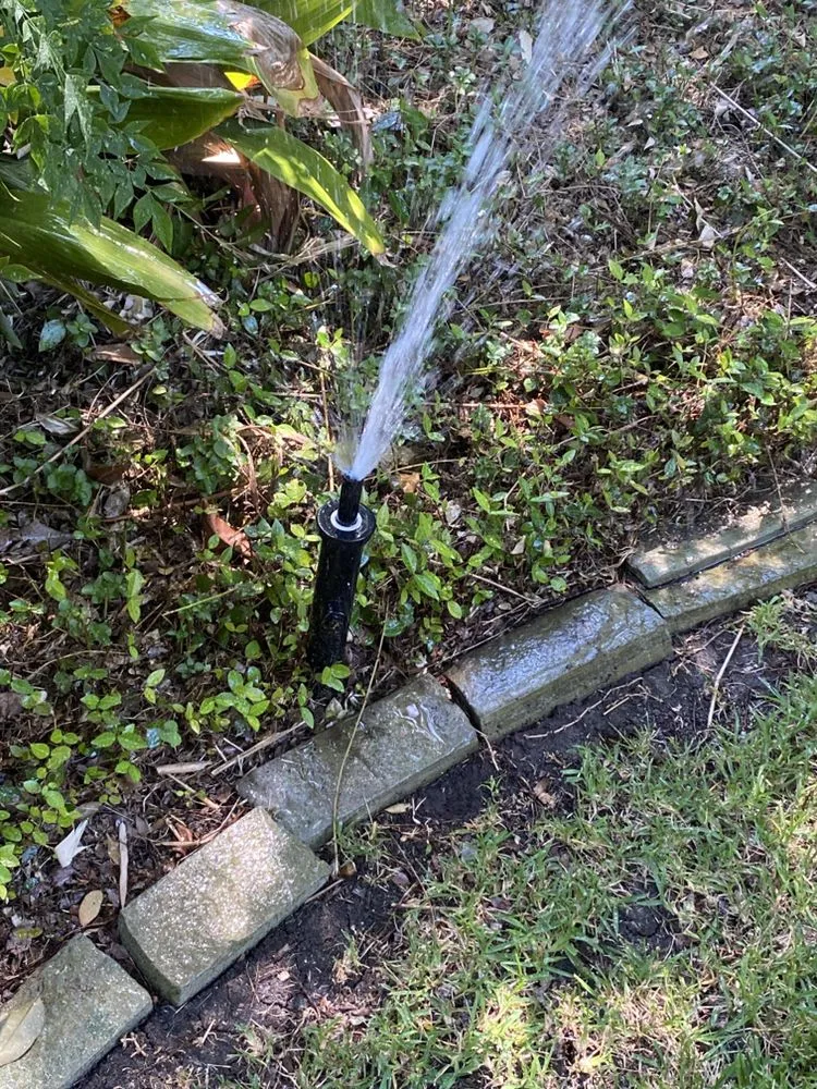 Top-rated yard cleanup service experts serving Uhland, TX - LaRaza Contracting LLC