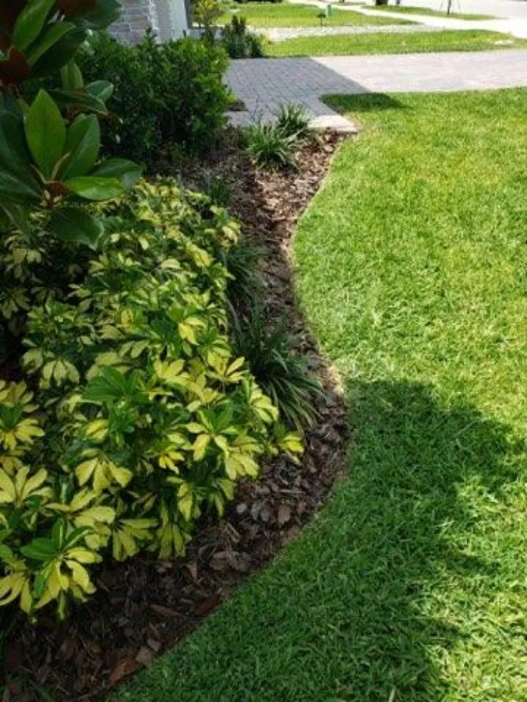 Expert landscape design for beautiful yards in Orlando, FL by LARC Landscaping