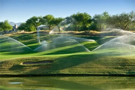 Custom yard maintenance for beautiful yards across Lexington, MA - Larchmont Engineering & Irrigation