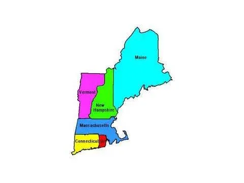 Trusted yard maintenance near you in Manchester, NH by Larchmont Engineering & Irrigation