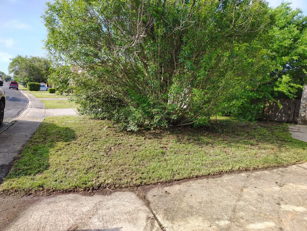 Professional landscape design for outdoor upgrades across San Antonio, TX - Laredo Landscaping