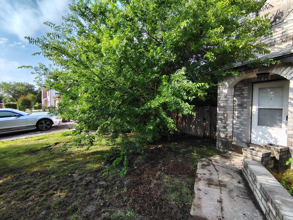 Top-rated landscape design in San Antonio, TX - Laredo Landscaping