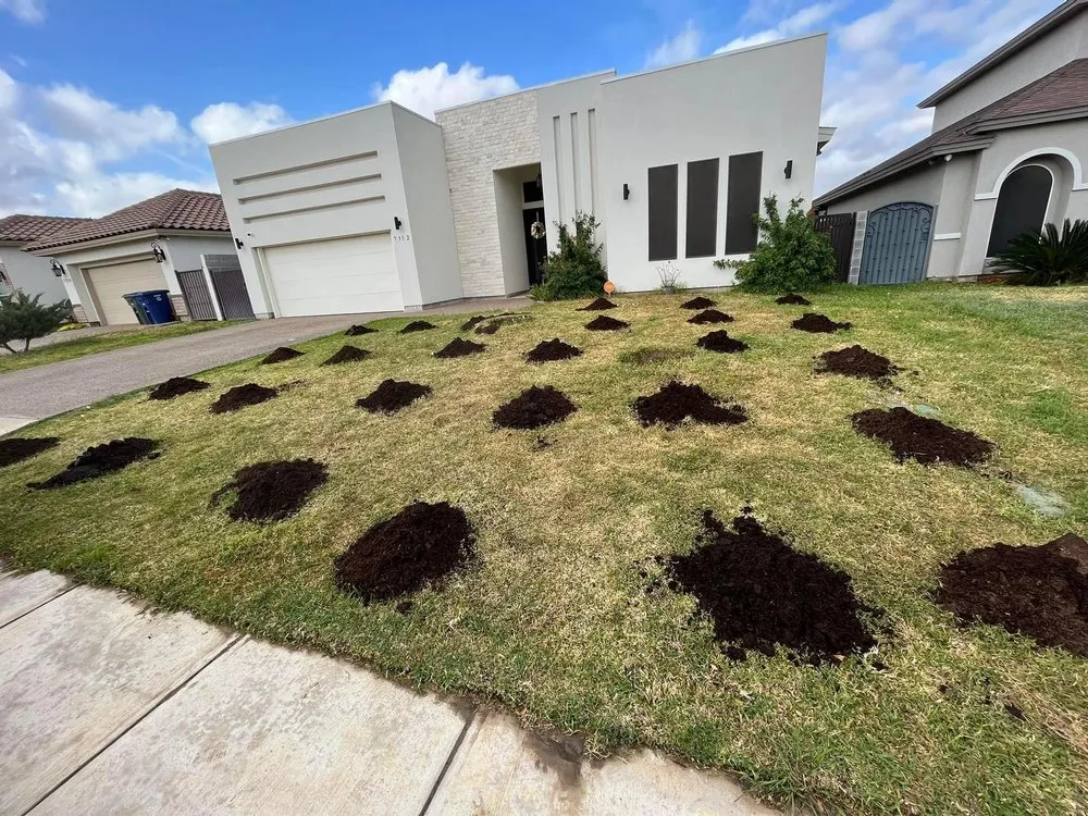 Professional residential landscaping in Laredo, TX - Laredo Lawn Crew Services