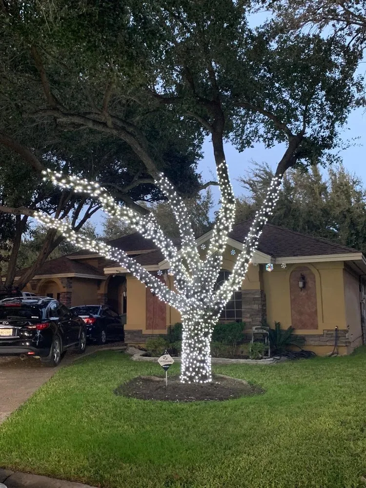 Expert outdoor landscaping in Laredo, TX - Laredo Lawn Crew Services