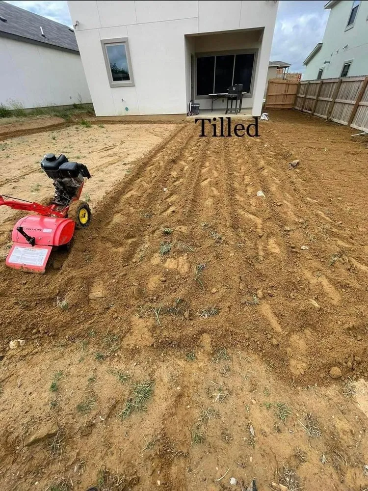 Expert yard cleanup service in Laredo, TX by Laredo Lawn Crew Services