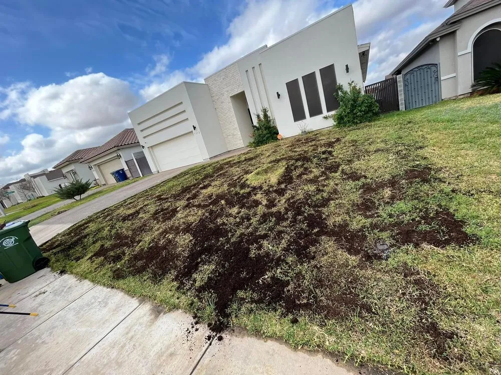 Top-rated landscape design in Laredo, TX - Laredo Lawn Crew Services