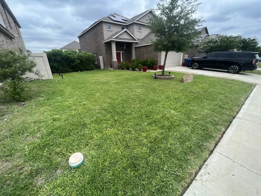 Local yard cleanup service in Laredo, TX - Laredo Lawn Crew Services