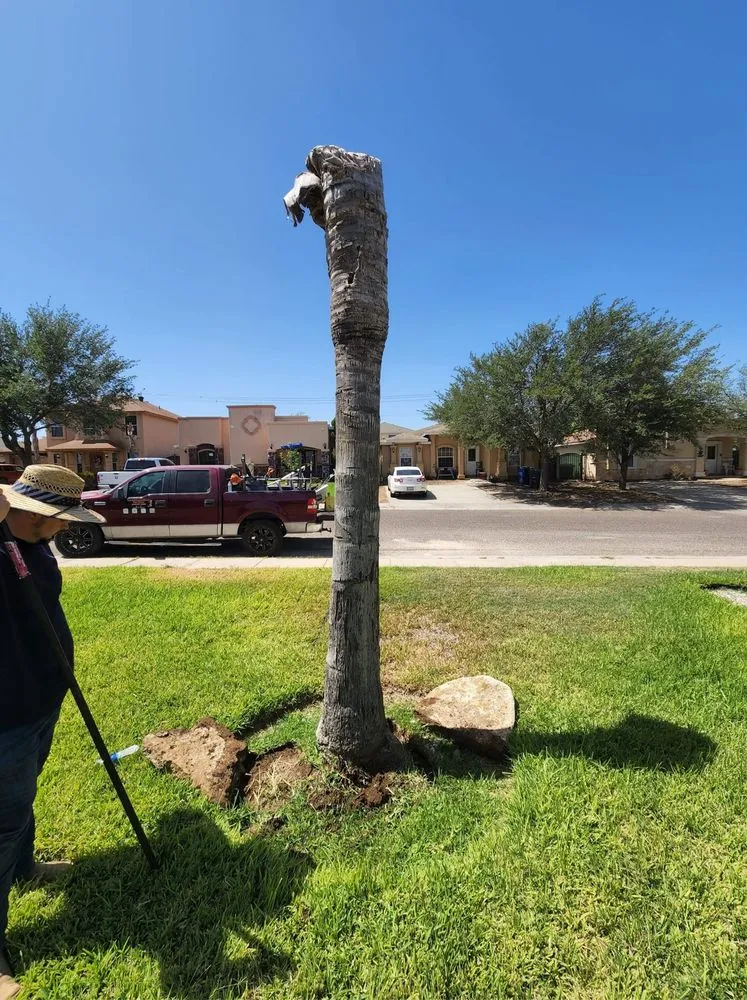 Custom yard maintenance for beautiful yards in Laredo, TX by Laredo Lawn Crew Services