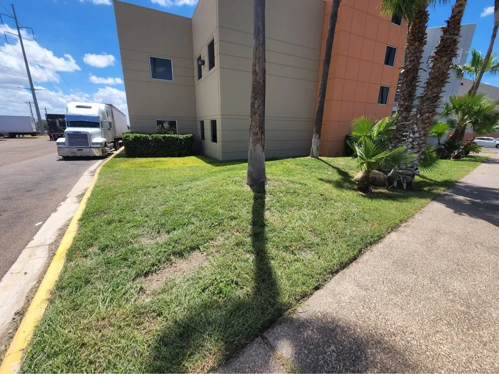 Local landscape design experts serving Laredo, TX - Laredo Lawn Crew Services