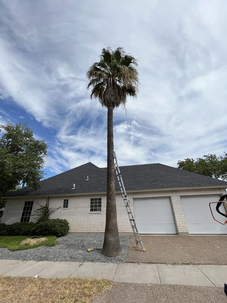 Affordable lawn mowing service in Laredo, TX by Laredo Lawn Crew Services