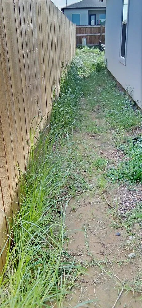 Top-rated yard cleanup service with custom design in Laredo, TX by Laredo's Best Landscapers