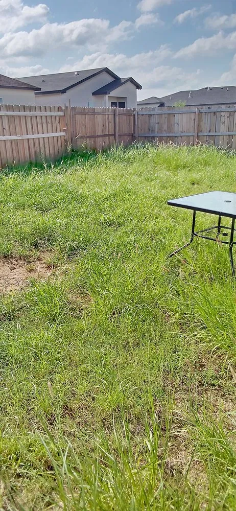 Expert lawn care service experts serving Laredo, TX - Laredo's Best Landscapers