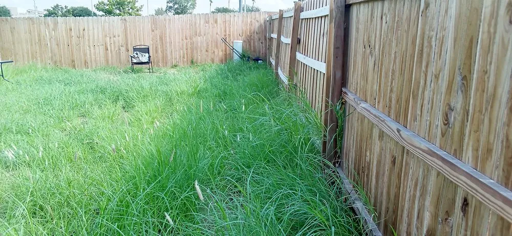 Expert residential landscaping experts serving Laredo, TX - Laredo's Best Landscapers