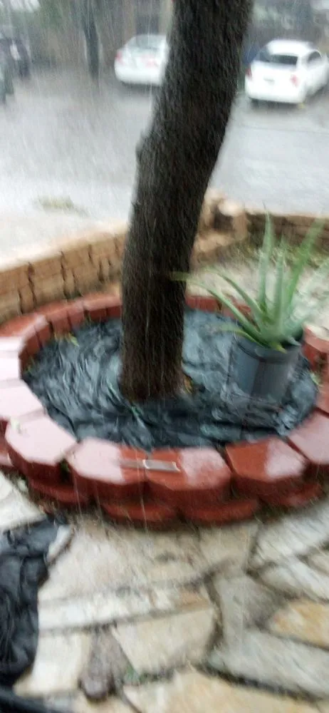 Custom landscaping services experts serving Laredo, TX - Laredo's Best Landscapers