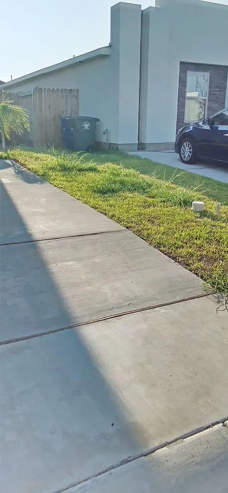 Professional landscape design experts serving Laredo, TX - Laredo's Best Landscapers