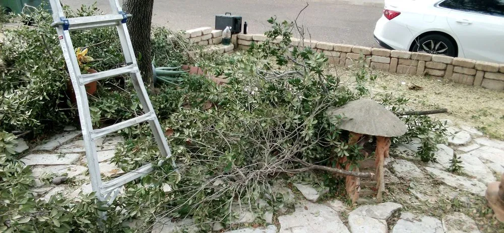 Custom residential landscaping in Laredo, TX - Laredo's Best Landscapers