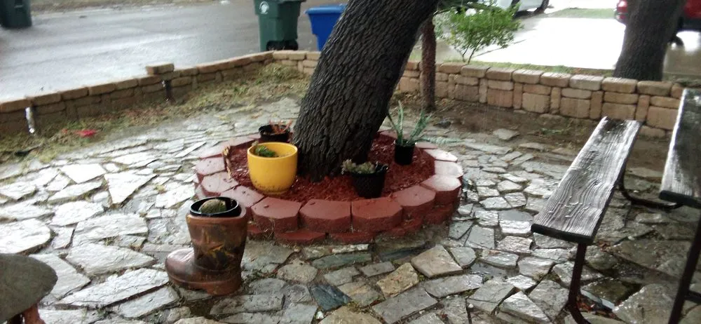 Professional residential landscaping near you in Laredo, TX by Laredo's Best Landscapers