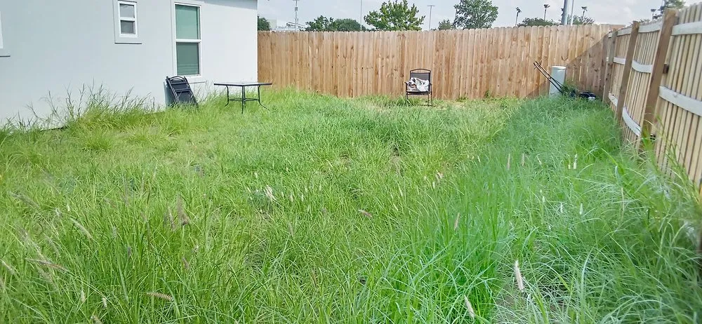 Top-rated yard cleanup service for homes across Laredo, TX - Laredo's Best Landscapers