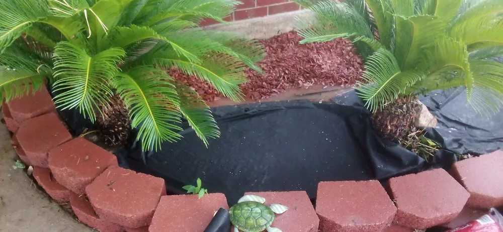 Custom yard maintenance for outdoor upgrades in Laredo, TX by Laredo's Best Landscapers