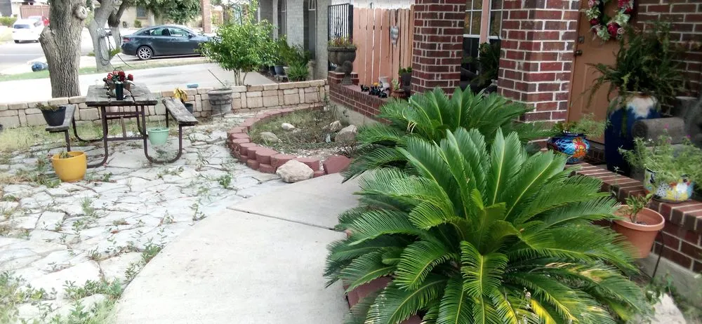 Custom landscape installation for year-round maintenance across Laredo, TX - Laredo's Best Landscapers