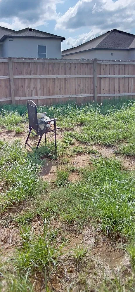 Expert outdoor landscaping experts serving Laredo, TX - Laredo's Best Landscapers