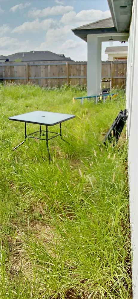 Custom landscape installation for residential properties in Laredo, TX by Laredo's Best Landscapers