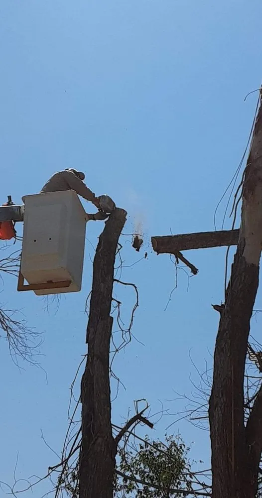 Custom residential landscaping in Rio Rancho, NM - Laredo's Landscape & More