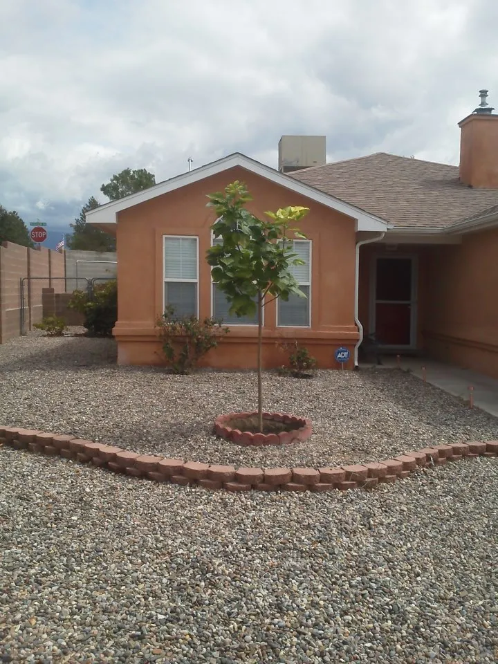 Trusted landscaping services for year-round maintenance in Rio Rancho, NM by Laredo's Landscape & More