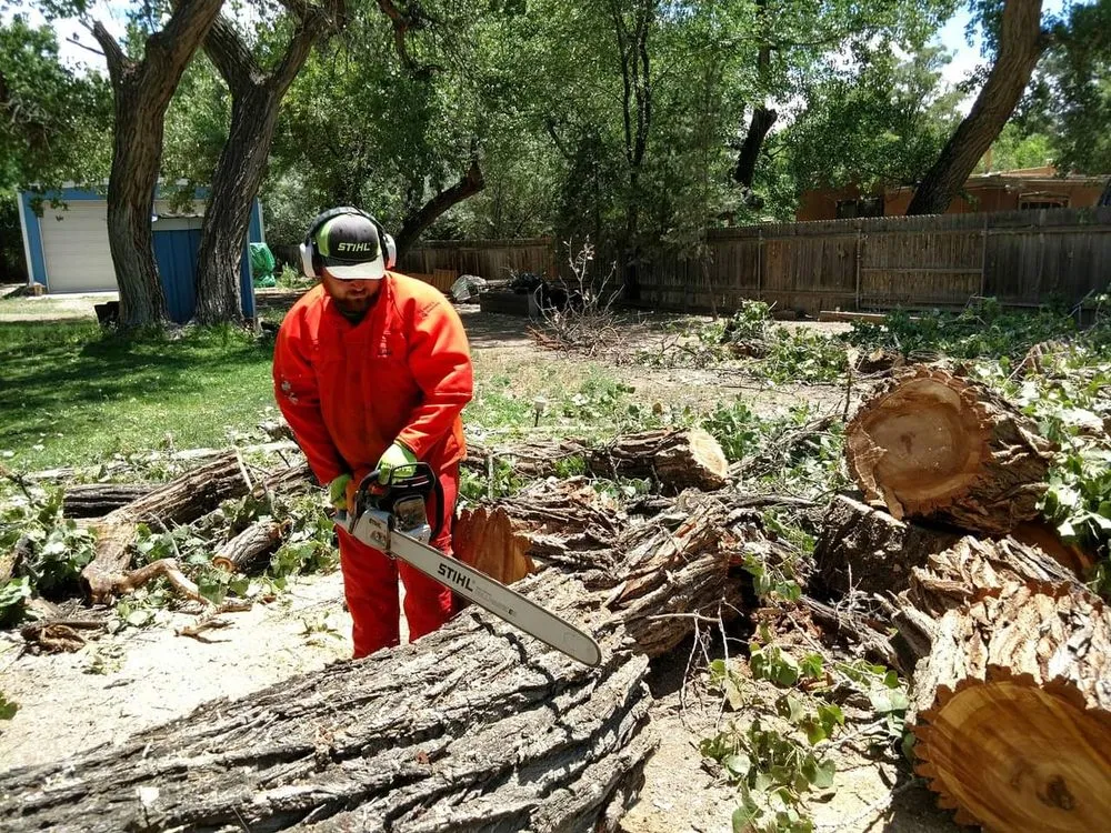 Affordable landscape design for beautiful yards across Rio Rancho, NM - Laredo's Landscape & More