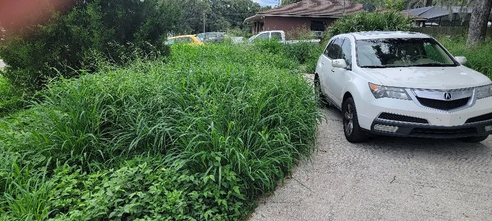 Custom outdoor landscaping in Ocala, FL - Largemouth Lawn Care