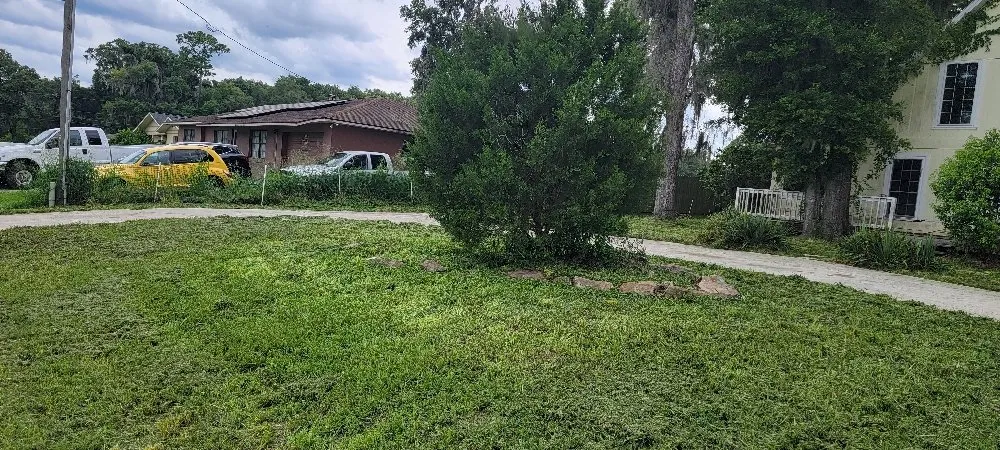 Local landscape design in Ocala, FL by Largemouth Lawn Care