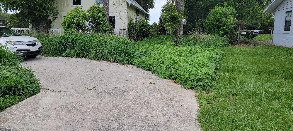 Custom landscape design in Ocala, FL - Largemouth Lawn Care