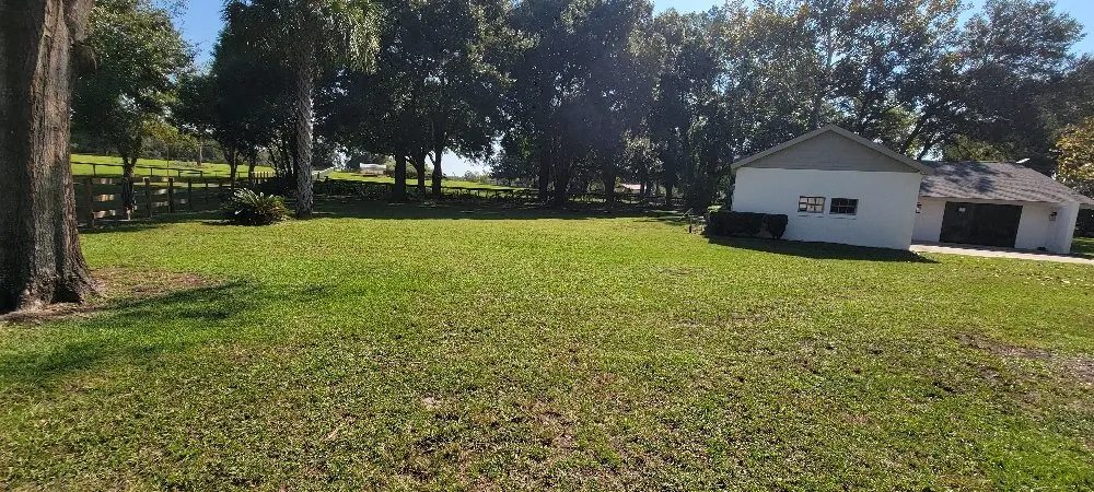 Reliable yard cleanup service experts serving Ocala, FL - Largemouth Lawn Care