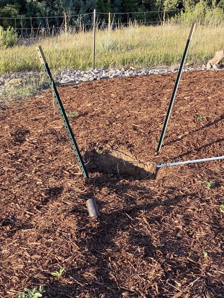 Custom yard cleanup service in Fort Collins, CO by Larimer Landscaping