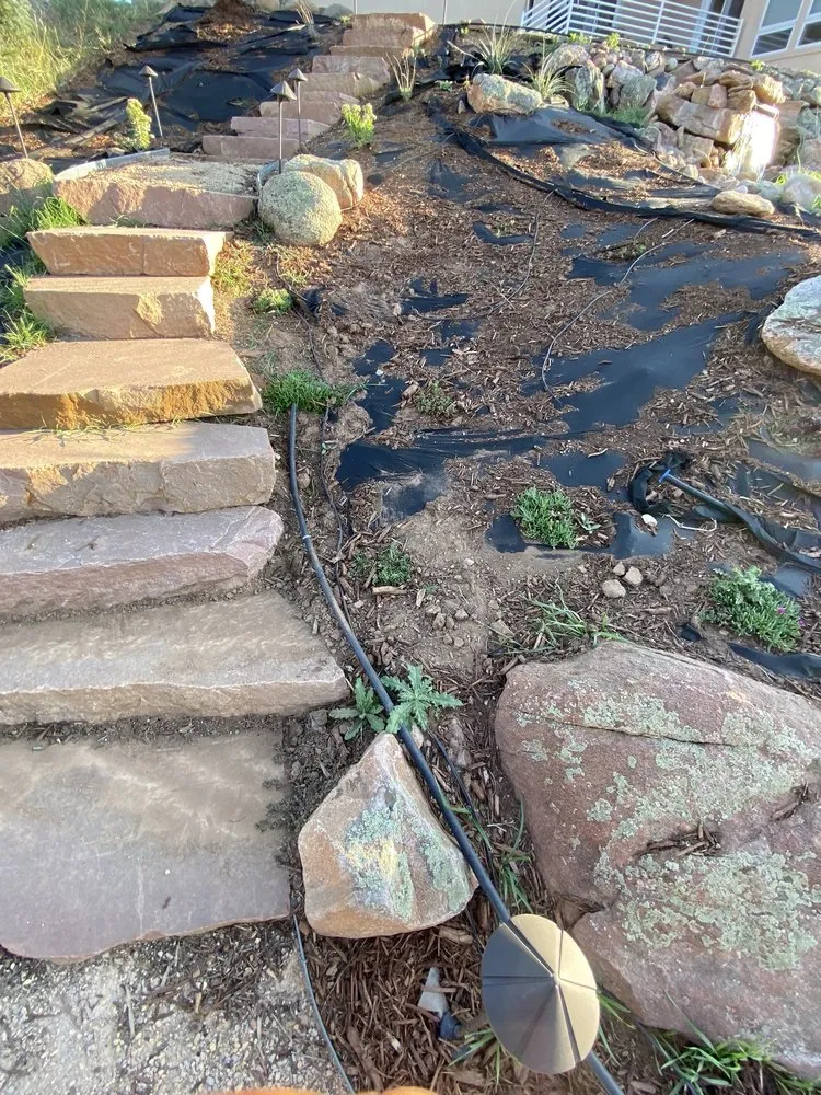 Affordable lawn care service near you across Fort Collins, CO - Larimer Landscaping