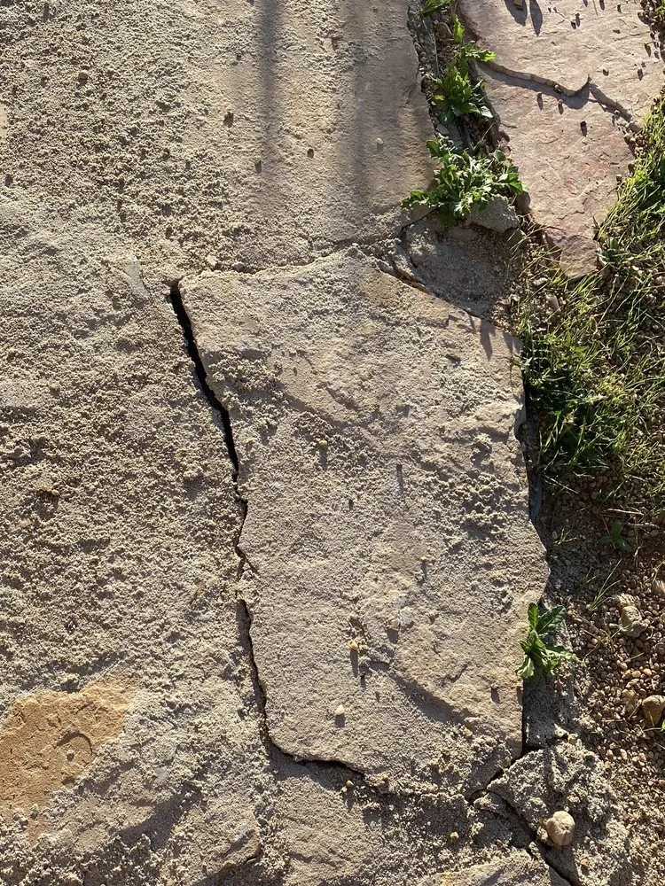 Custom garden landscaping experts serving Fort Collins, CO - Larimer Landscaping