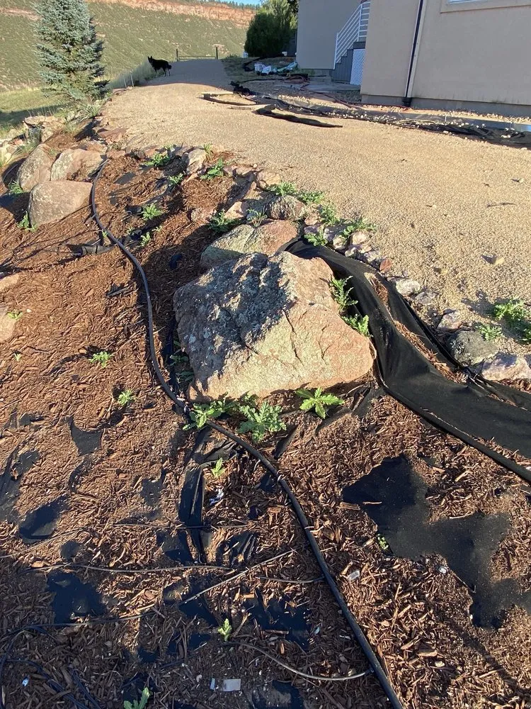 Affordable lawn mowing service near you in Fort Collins, CO by Larimer Landscaping