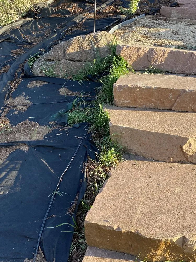 Trusted landscape installation for year-round maintenance in Fort Collins, CO by Larimer Landscaping