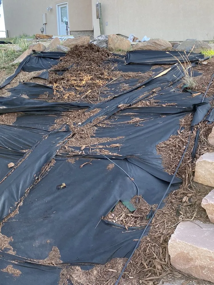 Expert yard cleanup service in Fort Collins, CO - Larimer Landscaping