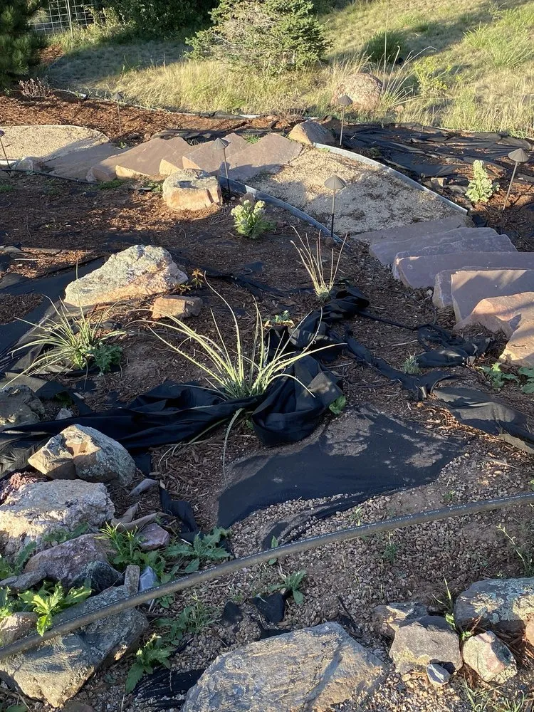 Local outdoor landscaping for homes across Fort Collins, CO - Larimer Landscaping