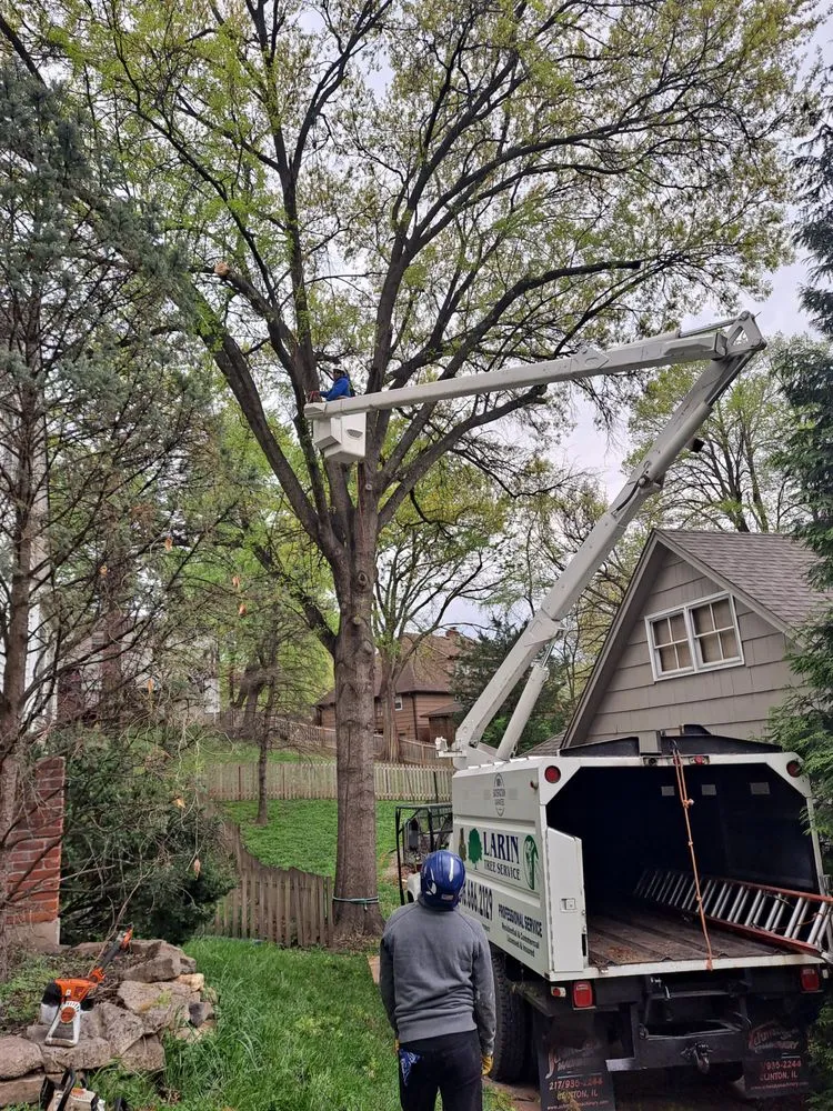 Local landscaping services for beautiful yards across Kansas City, MO - Larin Tree & Lawn Service