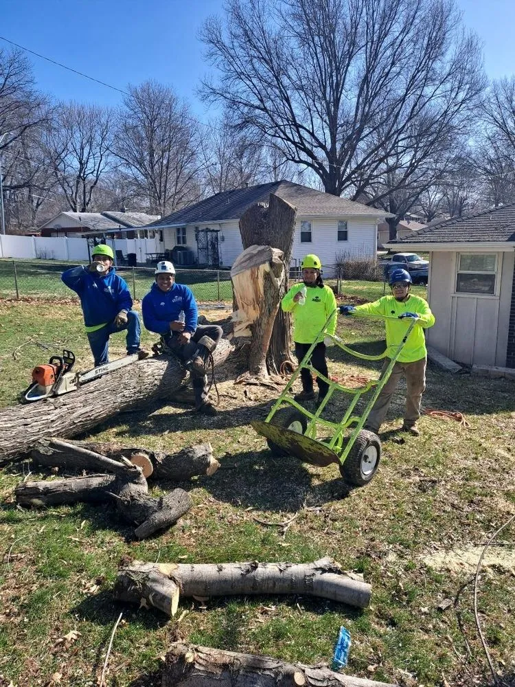 Trusted lawn care service experts serving Kansas City, MO - Larin Tree & Lawn Service
