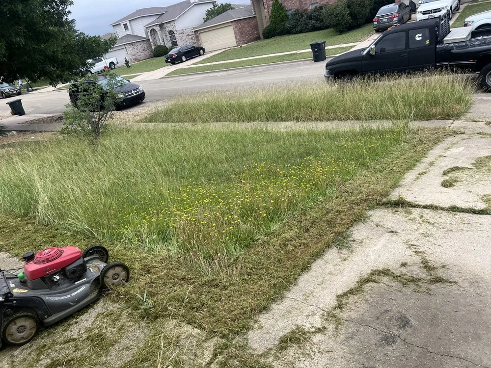 Local landscape design in Killeen, TX - Larios Lawn Care