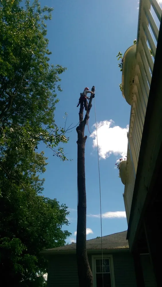 Reliable lawn care service in Paxton, MA by Lariviere Landscape and Tree