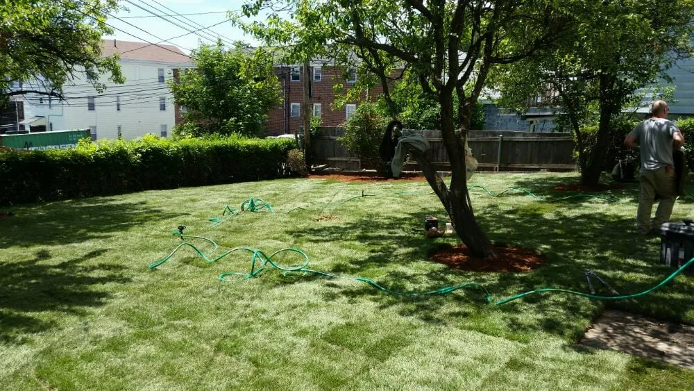 Top-rated yard maintenance for beautiful yards in Paxton, MA by Lariviere Landscape and Tree