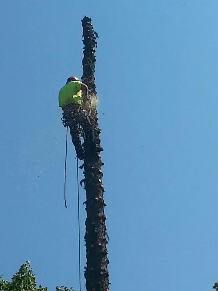 Custom garden landscaping for homes in Paxton, MA by Lariviere Landscape and Tree