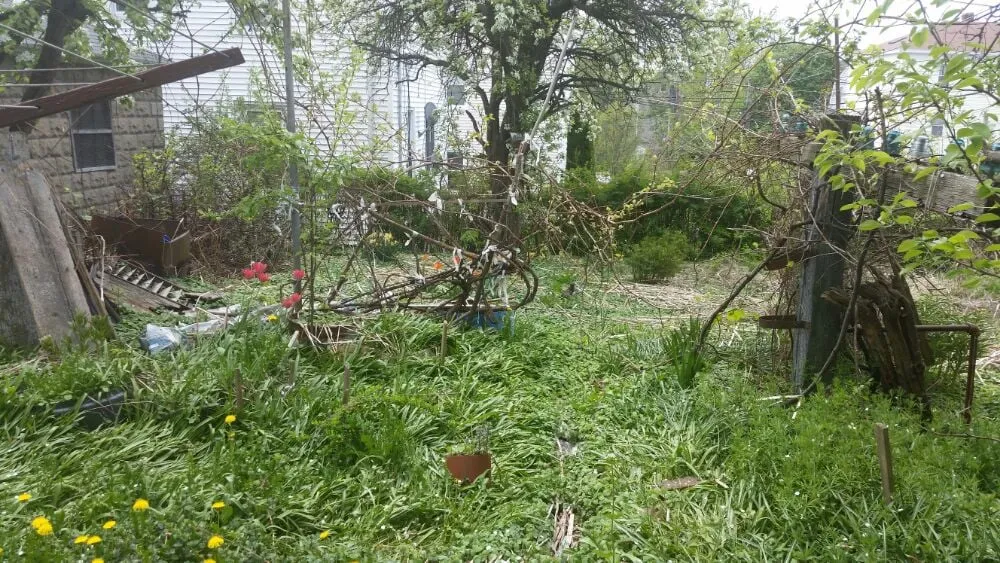 Expert yard maintenance near you in Paxton, MA by Lariviere Landscape and Tree