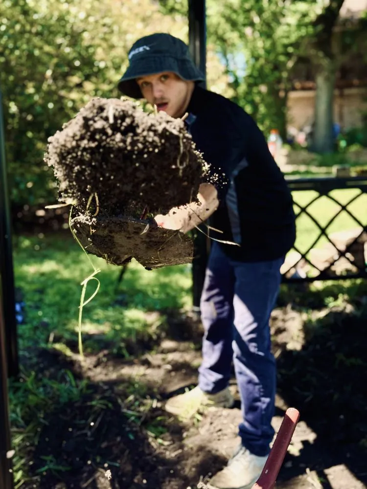 Expert lawn care service for outdoor upgrades in Sachse, TX by Larkin Landscaping